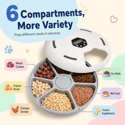 Timed Automatic Cat Feeder with 6 Meals - Indoor Detachable Rotating Dispenser for Wet and Dry Food, Includes Ice Packs, Battery Operated for Kittens and Small Dogs, White