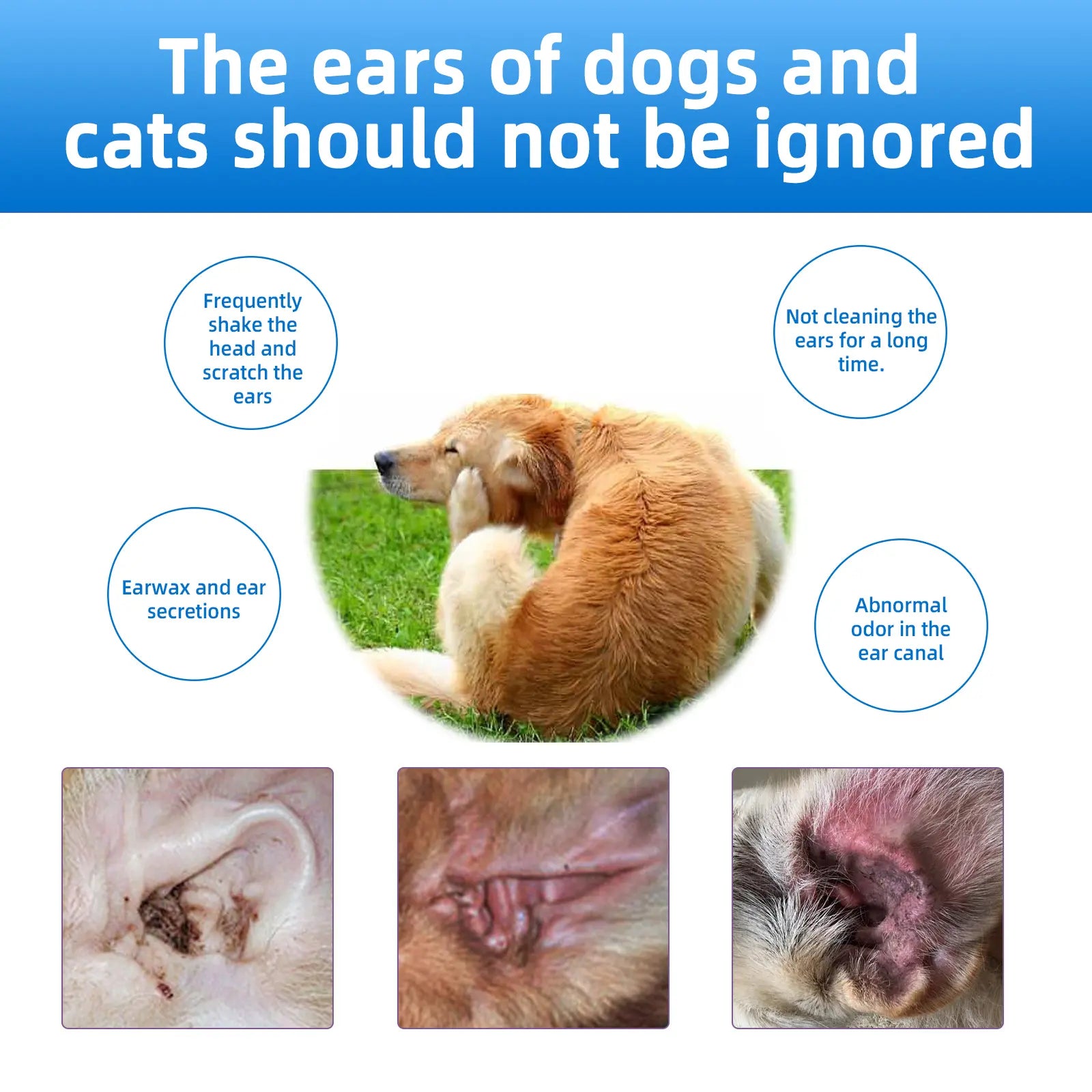 Gentle Pet Ear Wash for Dogs & Cats – Odor-Free Cleaning Solution for Healthy, Itch-Free Ears