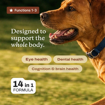 PetLabCo DF-14 Daily Foundation – 14-in-1 Dog Supplement Powder for Gut, Joint, Heart, Skin & Immune Health, Bacon Flavor