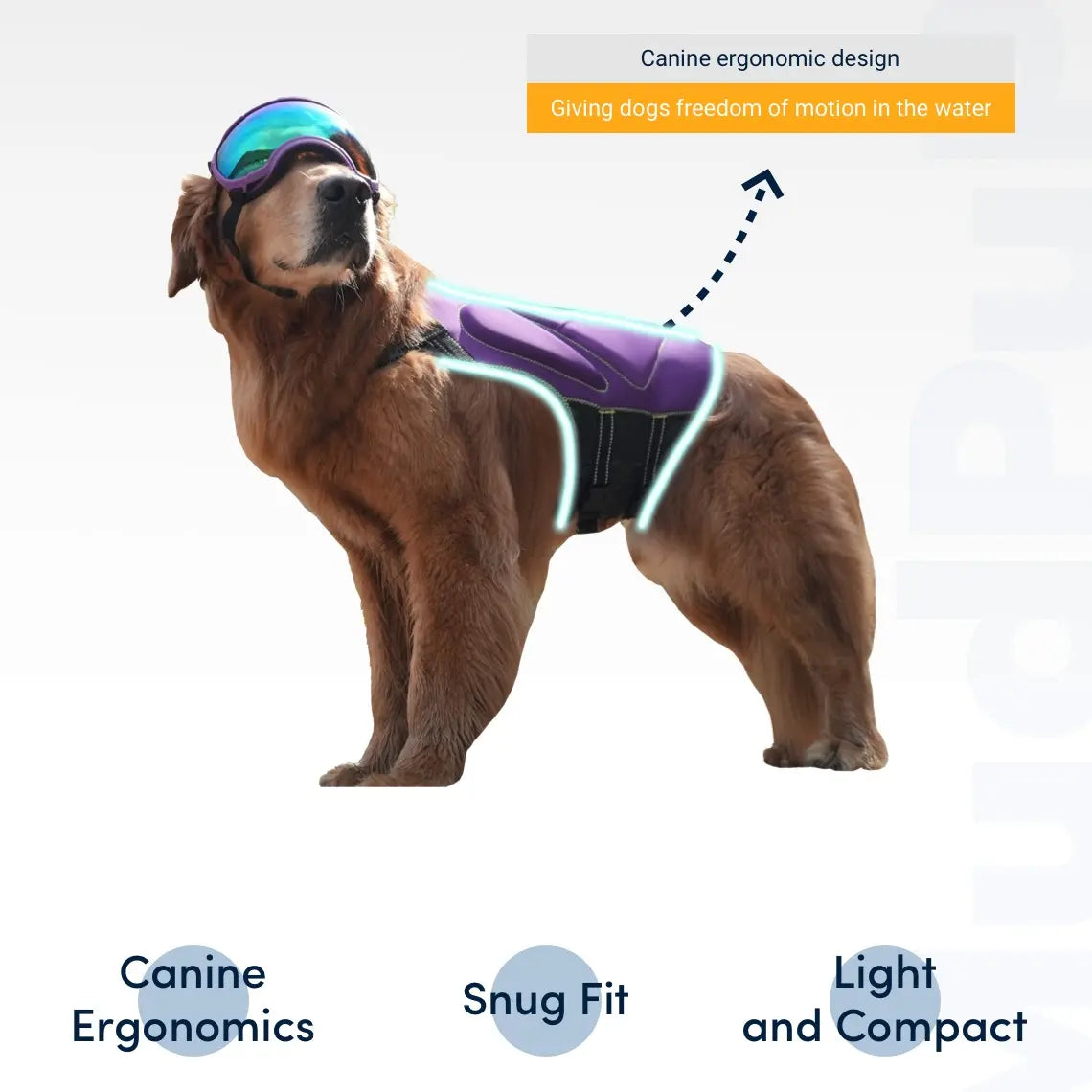Mudpuppy Premium Dog Life Jacket – Adjustable Pet Life Vest for Swimming & Boating, Free Bath Towel Included, Multiple Sizes