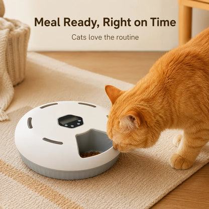 Timed Automatic Cat Feeder with 6 Meals - Indoor Detachable Rotating Dispenser for Wet and Dry Food, Includes Ice Packs, Battery Operated for Kittens and Small Dogs, White