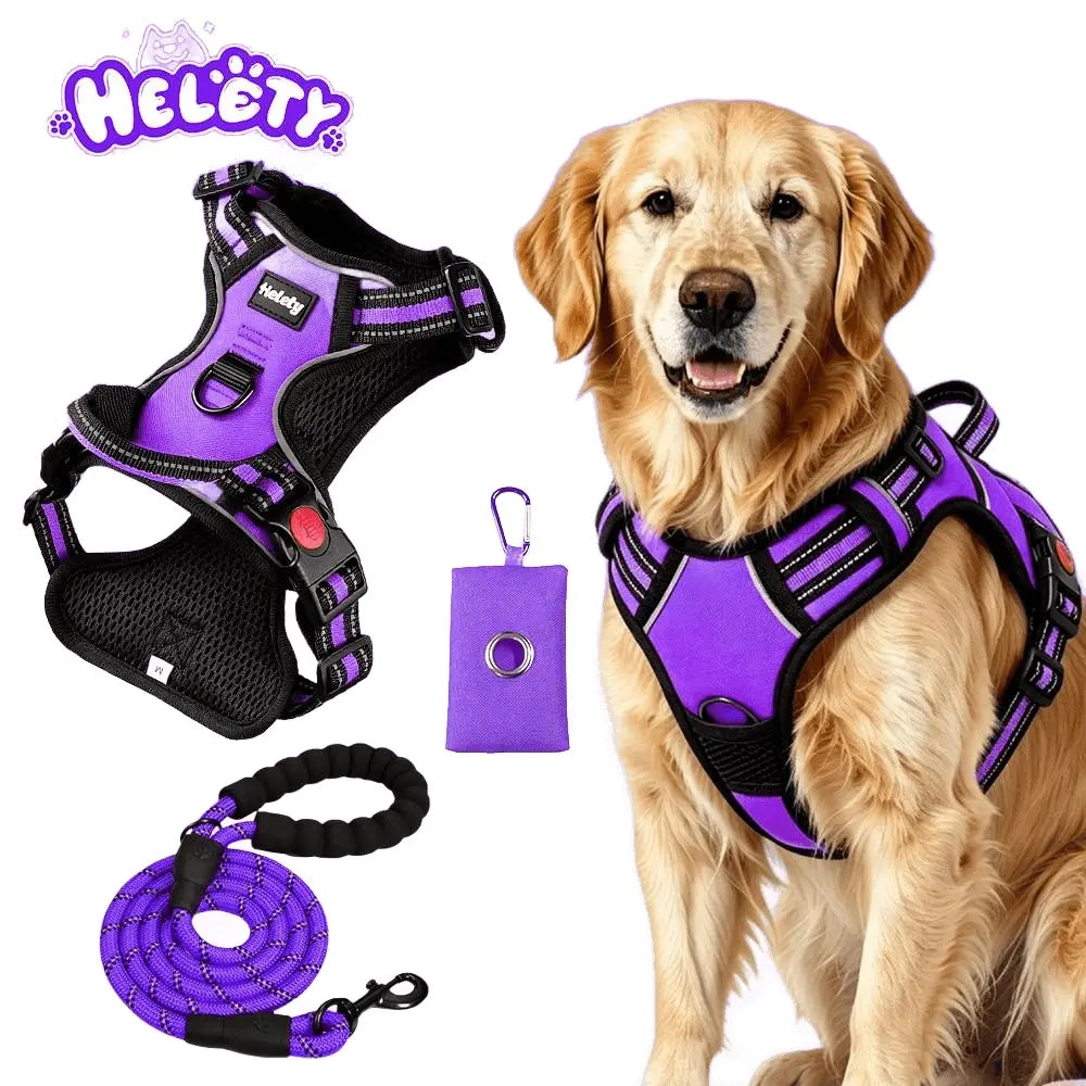 Helety 3-in-1 No-Pull Dog Harness & Leash Set – Dual D-Ring, Locking Buckles, Reflective, Adjustable S-XL, Built-In Poop Bag Holder