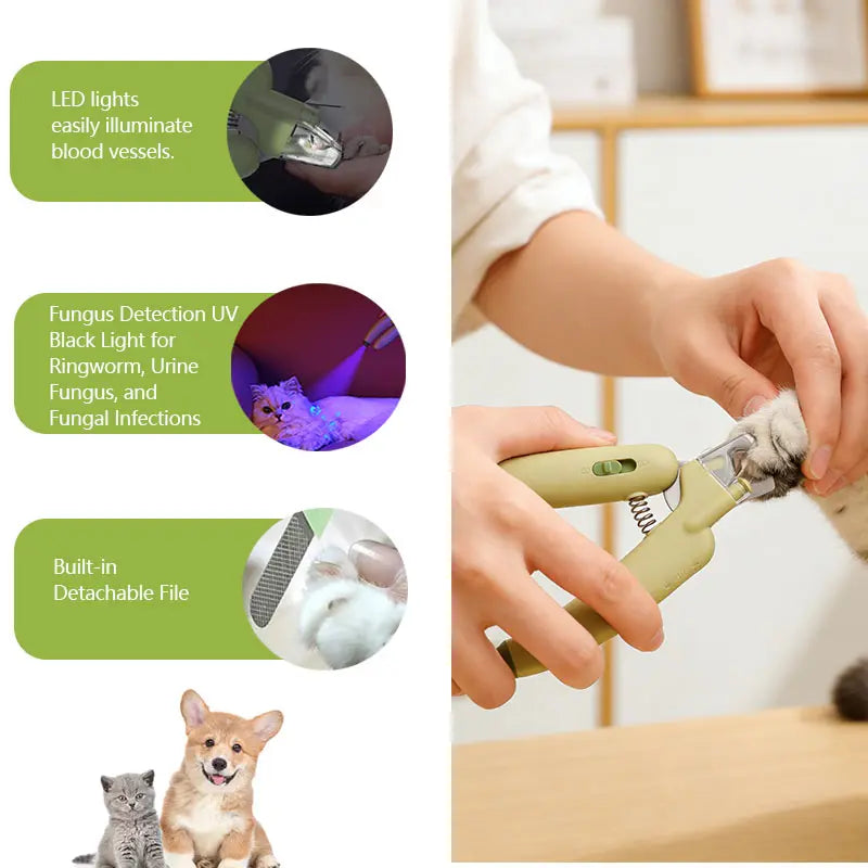 Pet Nail Trimmer with LED Light & UV Lamp – Safe Precision Clippers with Nail File, Collector Box, Non-Slip Handle for Dogs & Cats, All Sizes