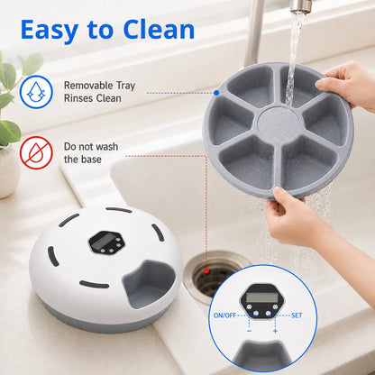 Timed Automatic Cat Feeder with 6 Meals - Indoor Detachable Rotating Dispenser for Wet and Dry Food, Includes Ice Packs, Battery Operated for Kittens and Small Dogs, White