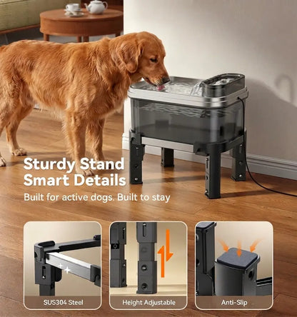 Height Adjustable Pet Water Fountain – 10L Stainless Steel Elevated Dog & Cat Water Dispenser with Filter, 4-Level Height, Ultra-Quiet, No-Spill