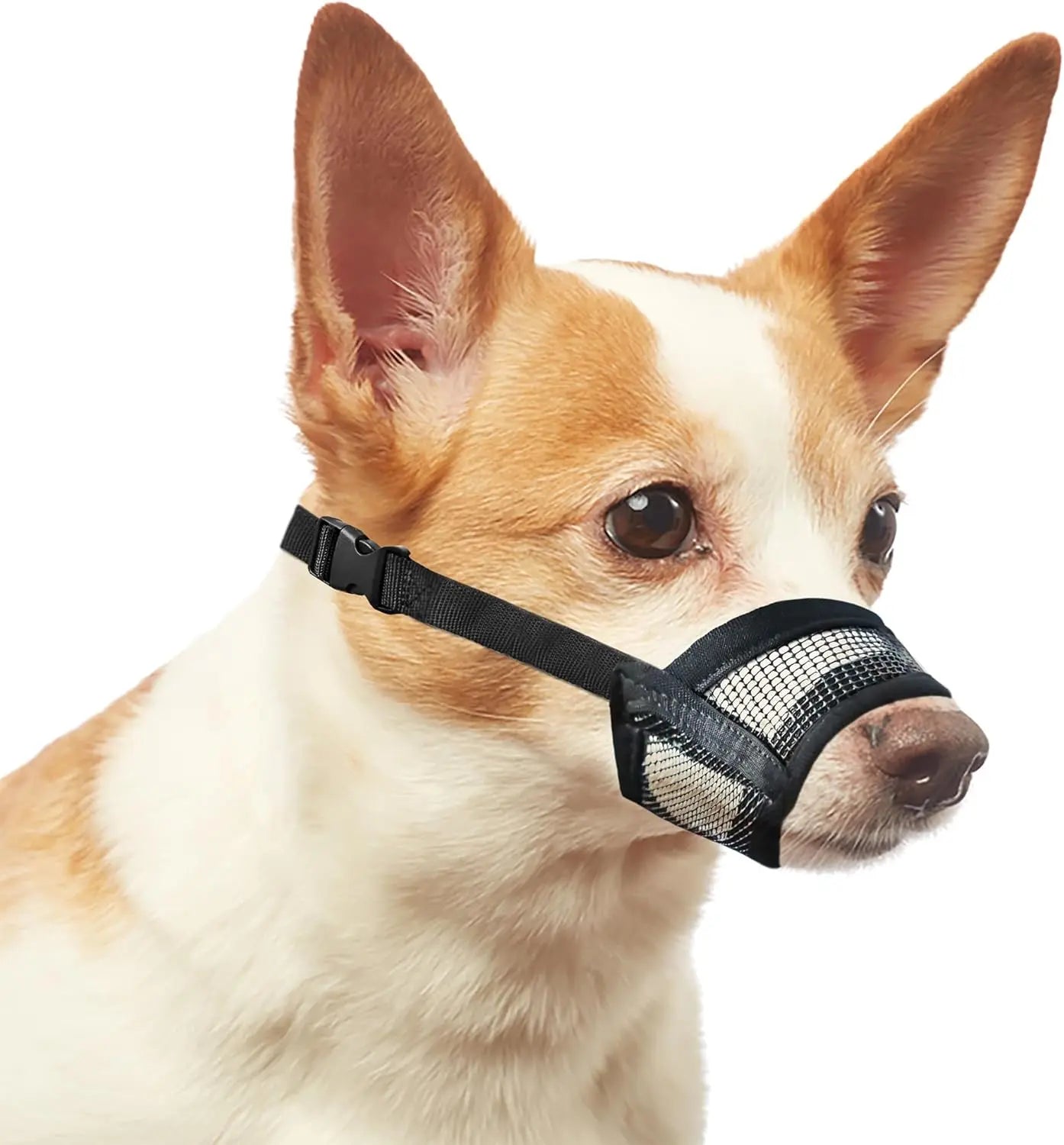 Breathable Mesh Dog Muzzle – Adjustable Air Mesh Muzzle to Prevent Biting, Barking & Chewing, Comfortable Fit for All Dog Sizes