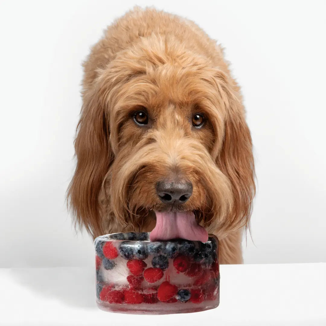 Freeze-Your-Own Dog Treat Bowl – Silicone DIY Frozen Enrichment Bowl for Boredom Relief, Crate Time & Hot Days, Dishwasher Safe