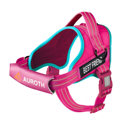 Auroth No-Pull Dog Harness – Soft Padded Reflective Vest with Adjustable Fit, Easy On/Off, Fits Small, Medium & Large Dogs