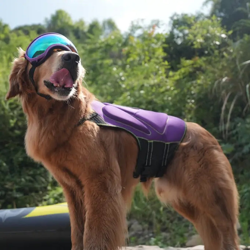 Mudpuppy Premium Dog Life Jacket – Adjustable Pet Life Vest for Swimming & Boating, Free Bath Towel Included, Multiple Sizes