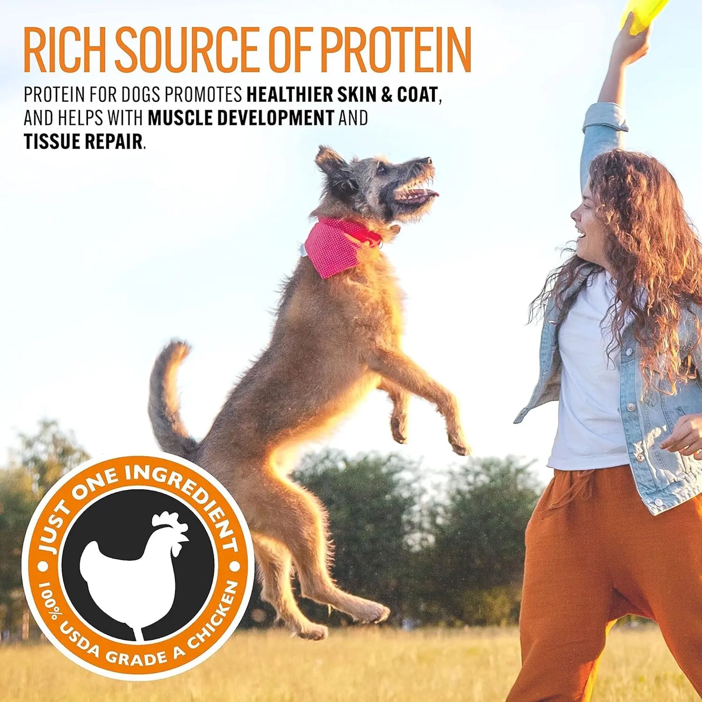 Emmy's Best Chicken Jerky Dog Treats – USA Made, 100% Natural Grain-Free Chicken Strips – High Protein Training Treats for Small, Medium & Large Dogs