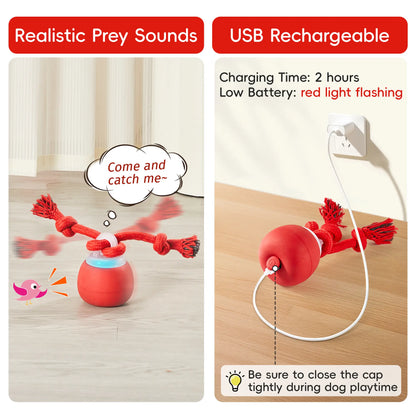 Potaroma Interactive Rolling Ball Dog Toy – USB Rechargeable Motion-Activated Ball with Chew Rope, 3 Play Modes for Puppies & Small/Medium Dogs