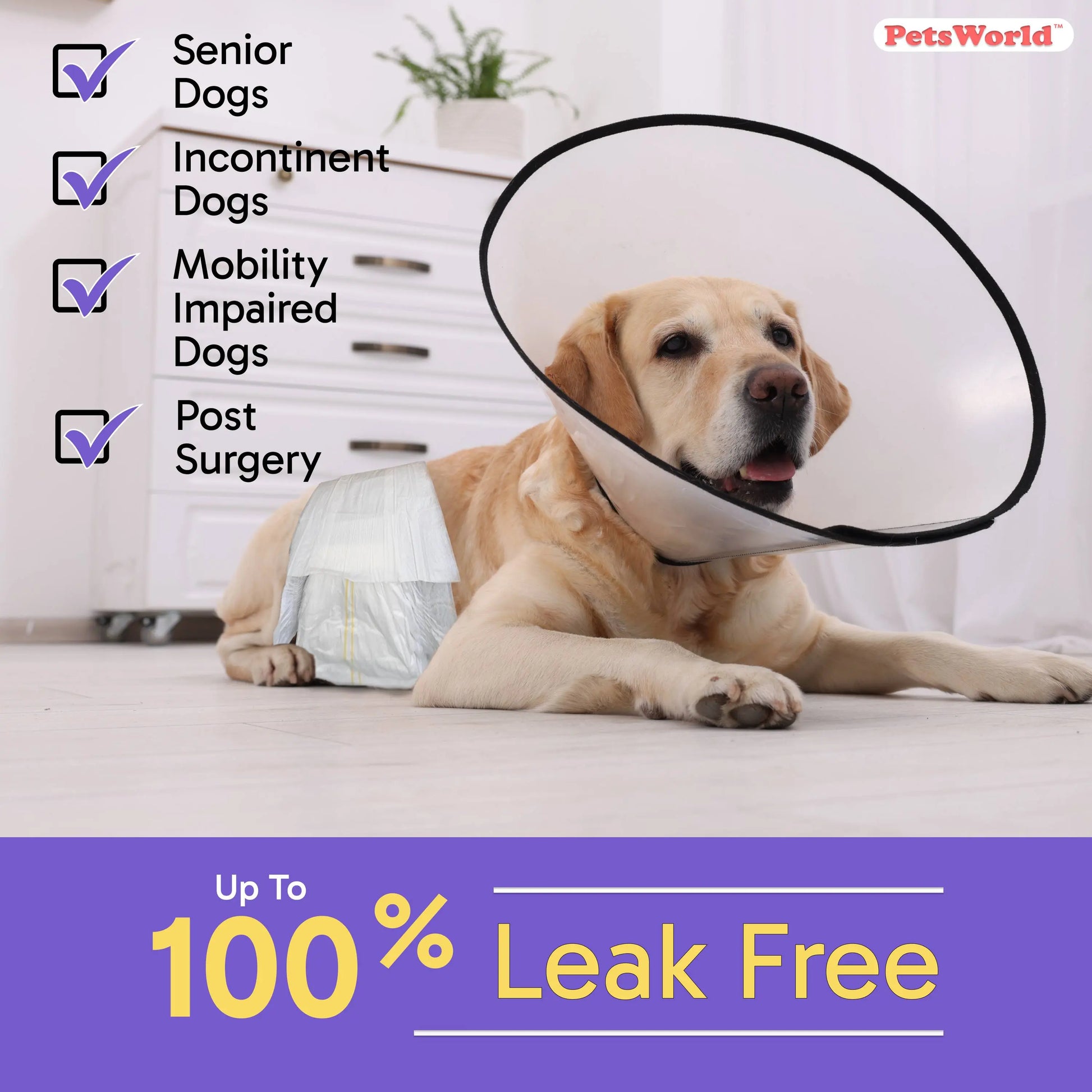 PetsWorld Male Dog Diapers – Super Absorbent Belly Bands with Wetness Indicator, Fur-Friendly & Leak-Proof, Disposable