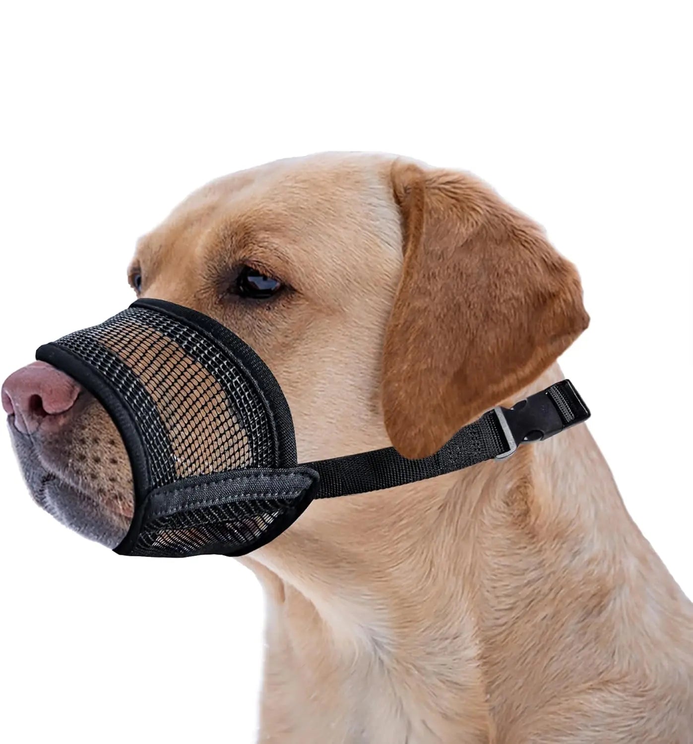 Breathable Mesh Dog Muzzle – Adjustable Air Mesh Muzzle to Prevent Biting, Barking & Chewing, Comfortable Fit for All Dog Sizes