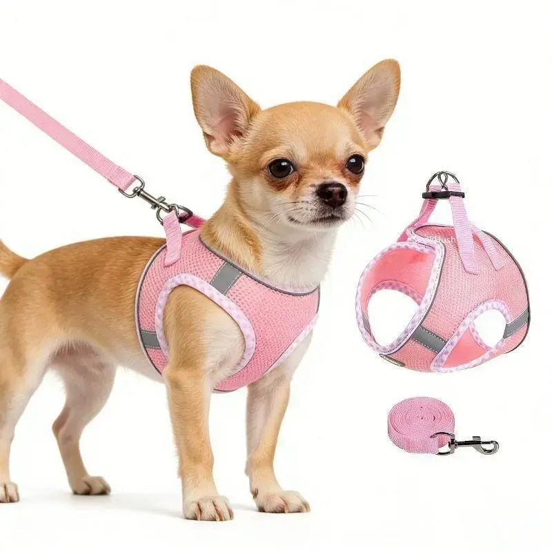 Step-In Dog Harness & Leash Set – Reflective No-Pull Mesh Harness, Adjustable & Lightweight for Small, Medium & Large Dogs