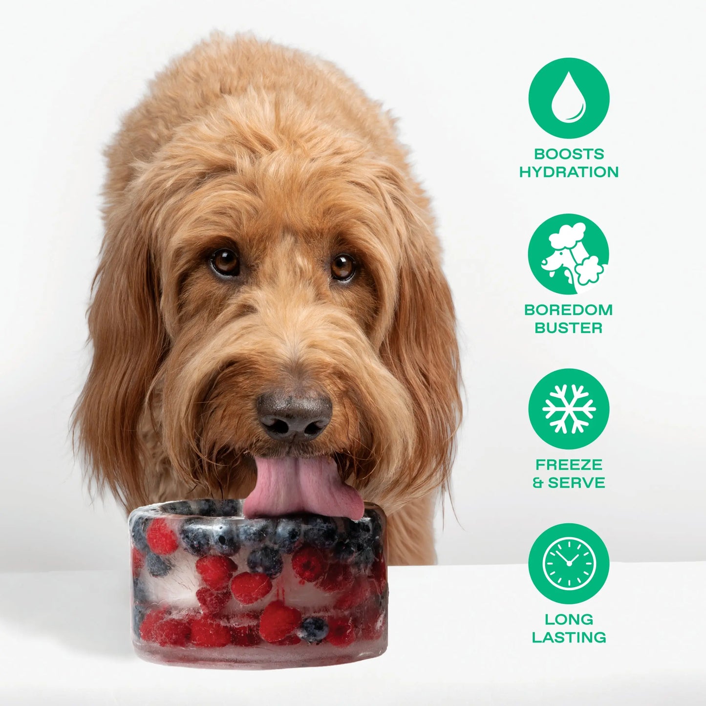 Freeze-Your-Own Dog Treat Bowl – Silicone DIY Frozen Enrichment Bowl for Boredom Relief, Crate Time & Hot Days, Dishwasher Safe