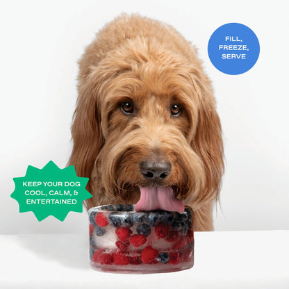 Freeze-Your-Own Dog Treat Bowl – Silicone DIY Frozen Enrichment Bowl for Boredom Relief, Crate Time & Hot Days, Dishwasher Safe
