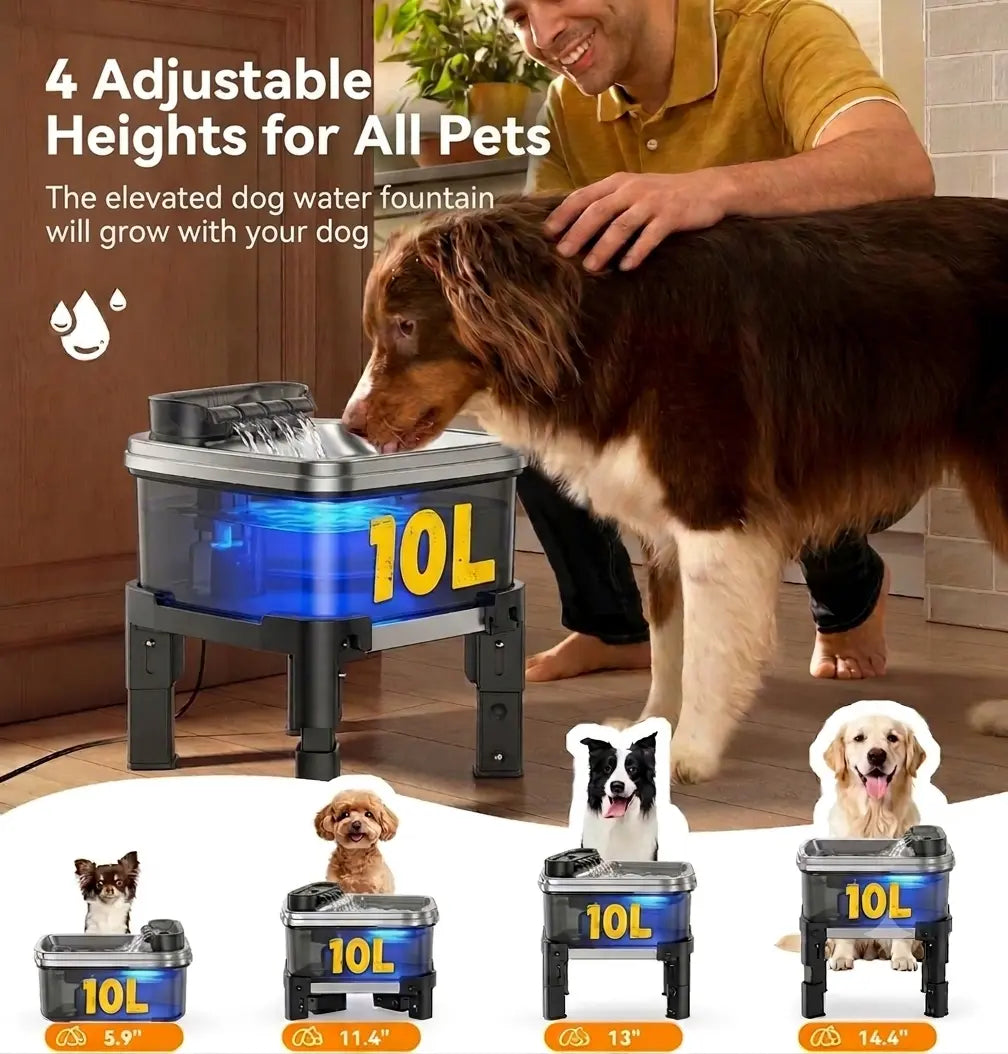 Height Adjustable Pet Water Fountain – 10L Stainless Steel Elevated Dog & Cat Water Dispenser with Filter, 4-Level Height, Ultra-Quiet, No-Spill