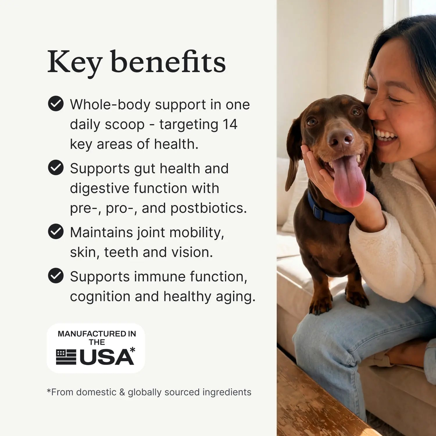 PetLabCo DF-14 Daily Foundation – 14-in-1 Dog Supplement Powder for Gut, Joint, Heart, Skin & Immune Health, Bacon Flavor