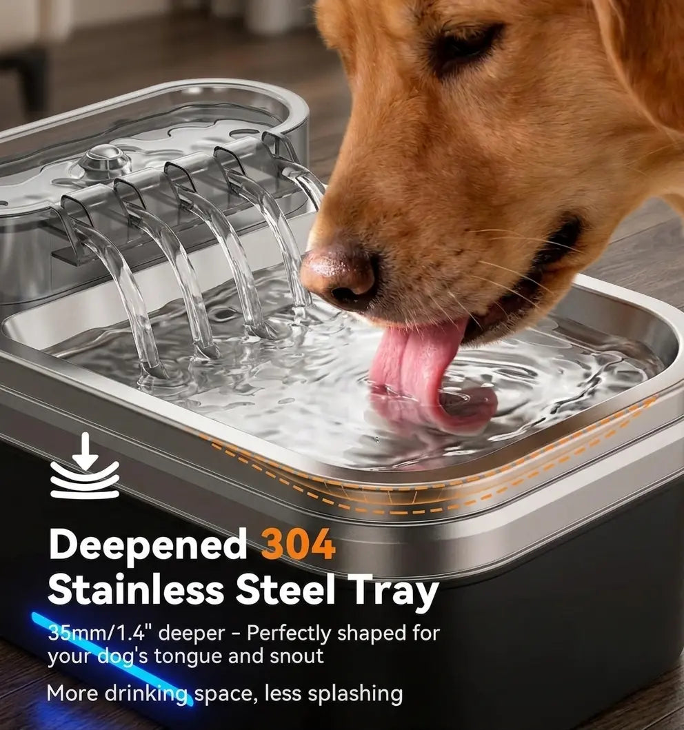 Height Adjustable Pet Water Fountain – 10L Stainless Steel Elevated Dog & Cat Water Dispenser with Filter, 4-Level Height, Ultra-Quiet, No-Spill