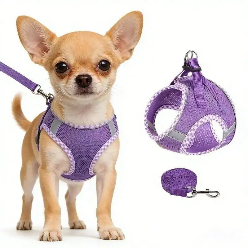 Step-In Dog Harness & Leash Set – Reflective No-Pull Mesh Harness, Adjustable & Lightweight for Small, Medium & Large Dogs