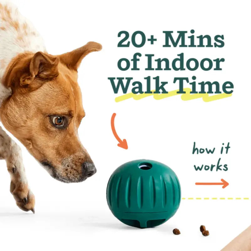 Woof Walkabout Dog Puzzle Toy – 2-in-1 Rolling Slow Feeder & Treat Dispenser, Adjustable Difficulty, Durable Rubber, Dishwasher-Safe