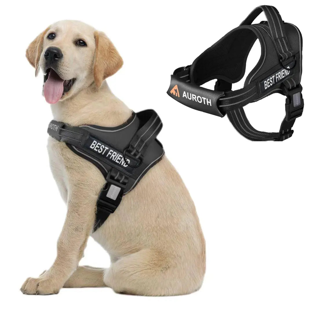 Auroth No-Pull Dog Harness – Soft Padded Reflective Vest with Adjustable Fit, Easy On/Off, Fits Small, Medium & Large Dogs